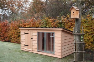 Hondenkennel-Bob-1